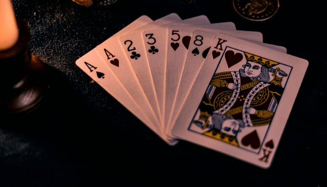 bear88